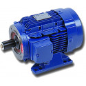 Motor de 3kW 4CV 1500rpm 220/380