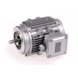 Motor 0,37KW 1500 RPM 230/400V Sin ventilación